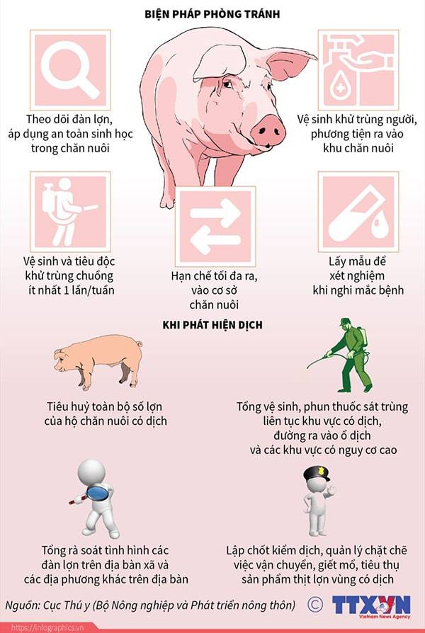 BIỆN PHÁP PHÒNG CHỐNG DỊCH TẢ LỢN CHÂU PHI