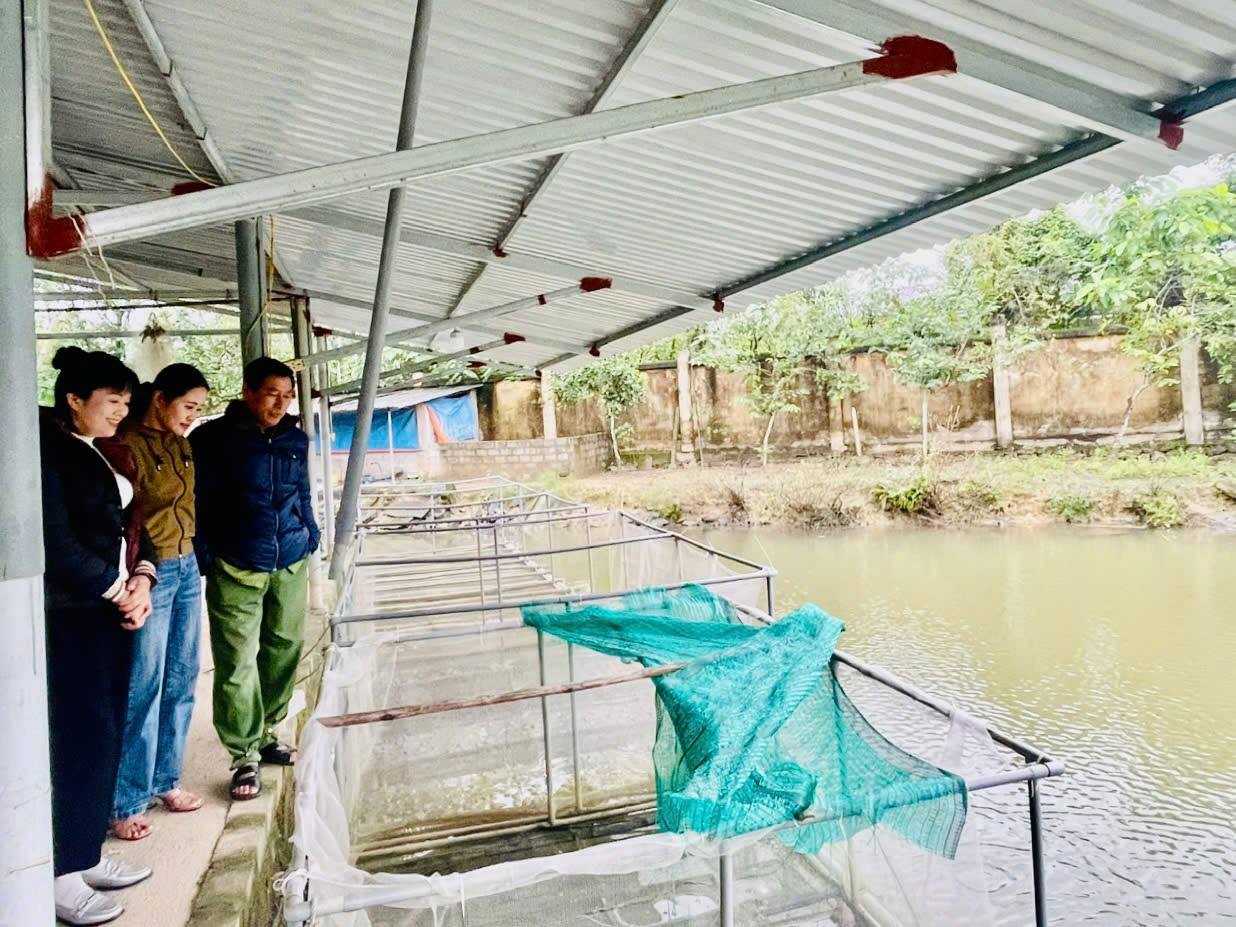 Điểm sáng nông nghiệp hữu cơ tại Đức Thọ