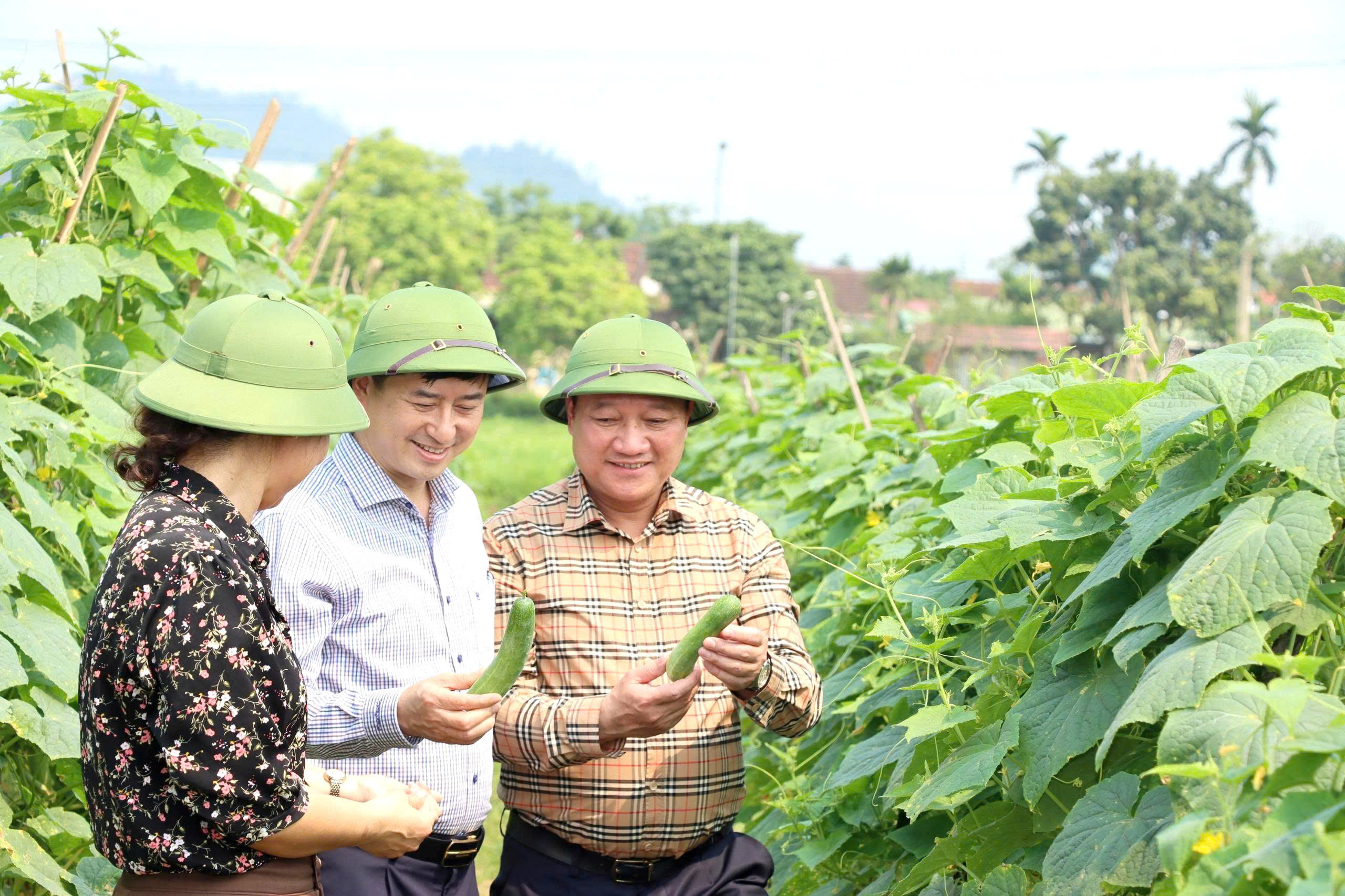 Lãnh đạo xã Đức Thọ kiểm tra tình hình sản xuất nông nghiệp trên địa bàn