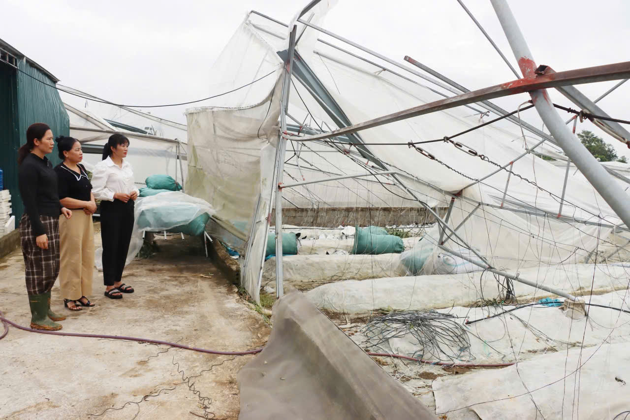 👍👍👍Nông dân xã Đức Thọ khôi phục các mô hình sản xuất sau bão số 5.