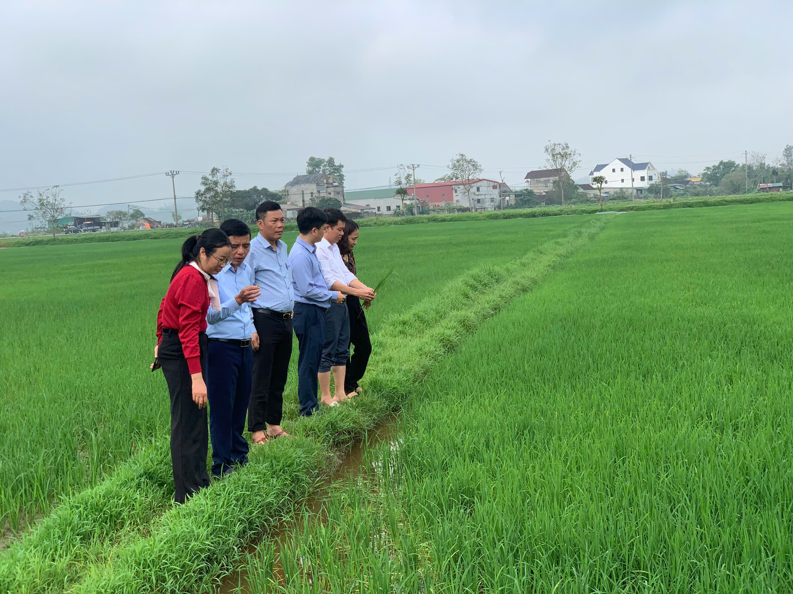 Xã Đức Thọ: Đẩy mạnh sản xuất vụ xuân 2026