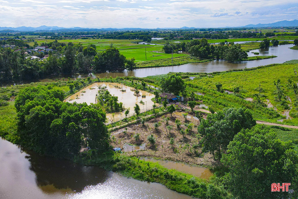 Độc đáo vườn chim giữa lòng đô thị trung tâm Hà Tĩnh