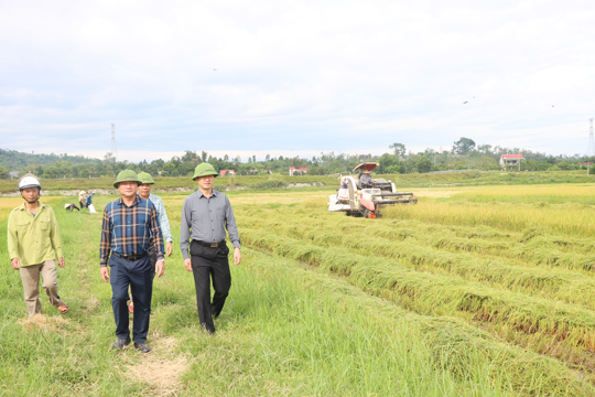 Đức Thọ:  Triển khai công tác ứng phó mưa lớn - Đẩy nhanh tiến độ thu hoạch lúa Hè Thu.