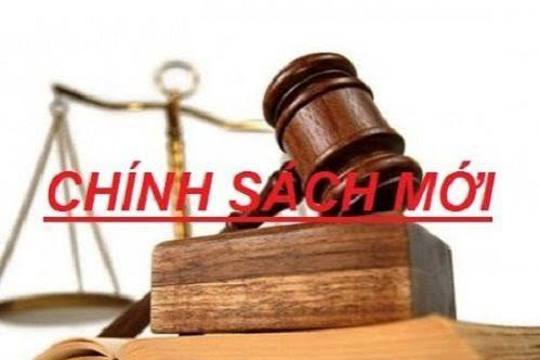 Những chính sách mới nào có hiệu lực từ tháng 8/2026? 