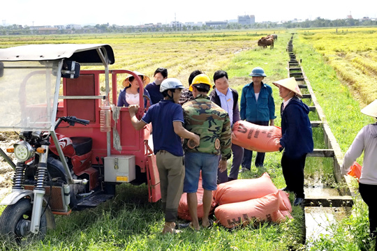 Đức Thọ thu hoạch 1.321/1421 ha (đạt trên 92%) lúa vụ xuân 2026