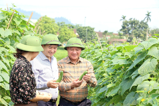 Chính sách nổi bật có hiệu lực từ tháng 7