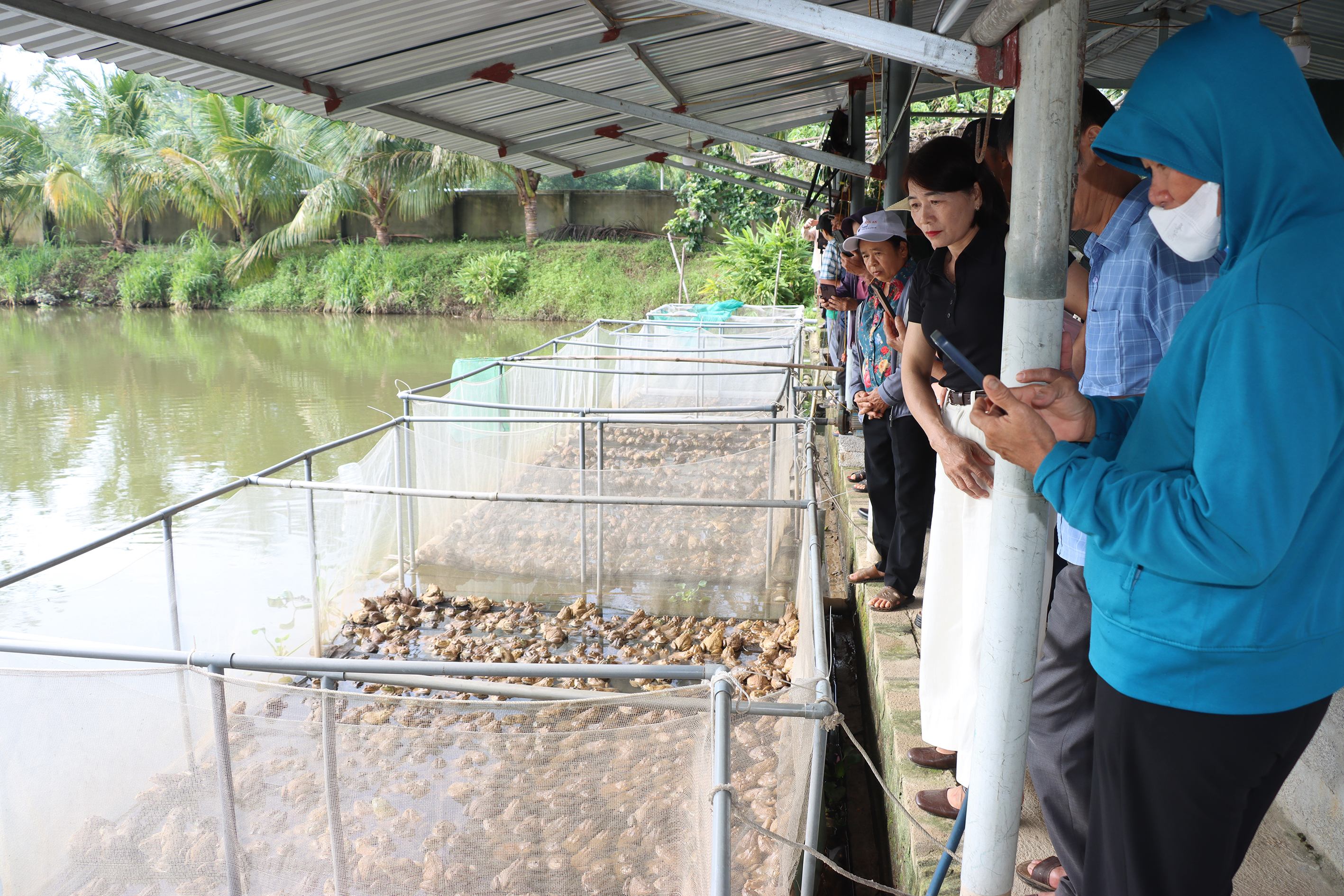 Hội Nông dân tỉnh, Hội Nông dân xã Mai Hoa tham quan, học tập mô hình chăn nuôi hữu cơ và nuôi ếch thương phẩm tại xã Đức Thọ.