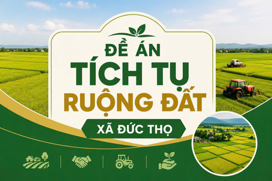 ĐỀ ÁN: Tập trung, tích tụ ruộng đất giai đoạn 2026 - 2030 và những năm tiếp theo trên địa bàn xã Đức Thọ