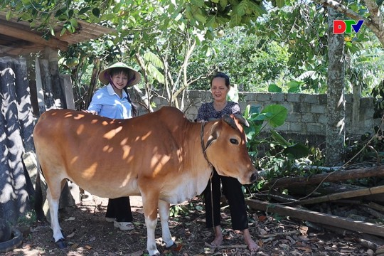  Trao sinh kế - Tiếp sức hội viên vươn lên giảm nghèo bề vững.
