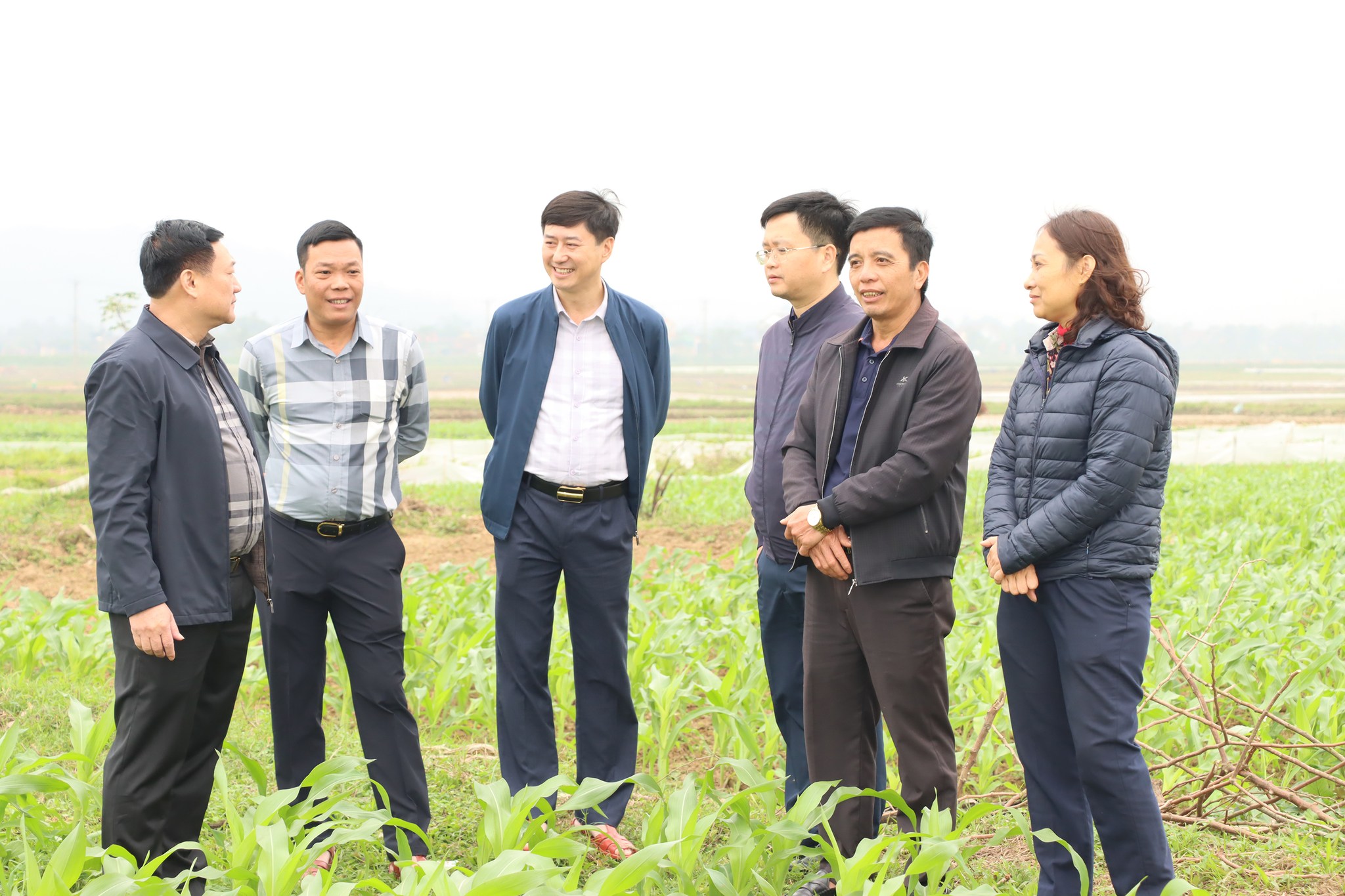 Lãnh đạo xã Đức Thọ kiểm tra tình hình sản xuất vụ Xuân năm 2026. 